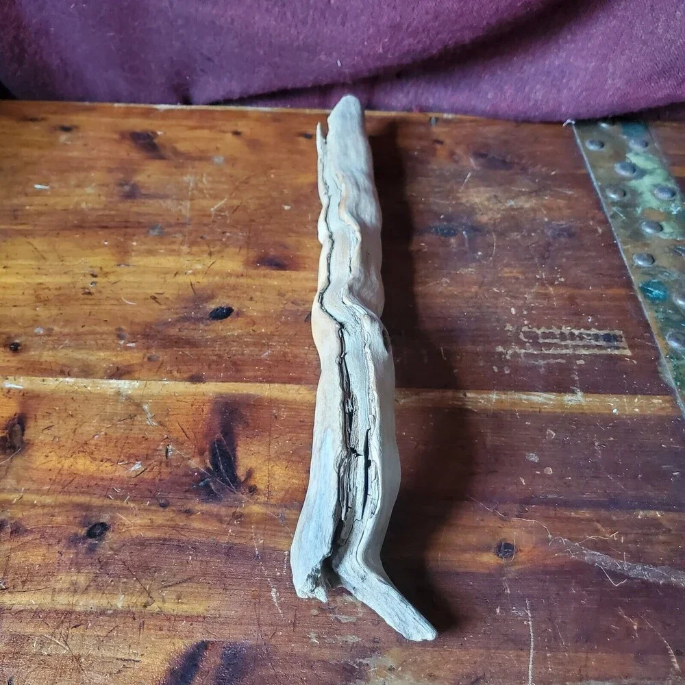 Driftwood Decor - 13